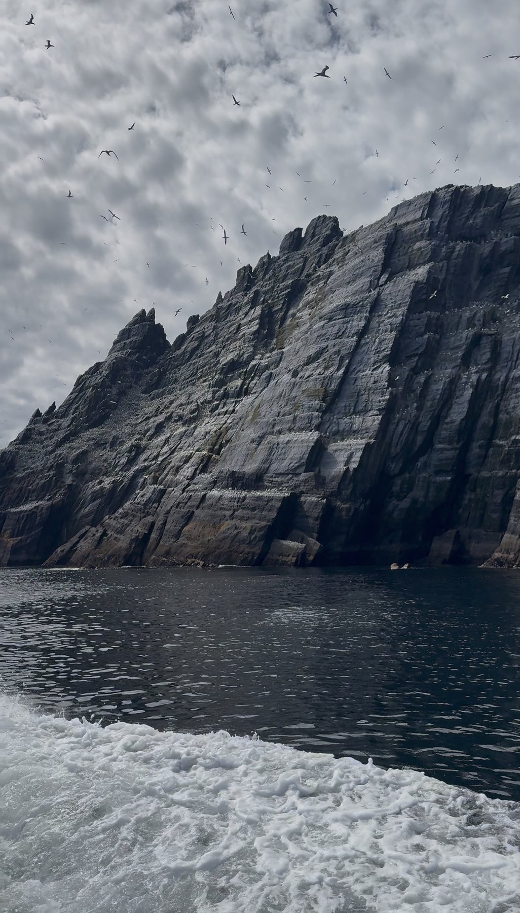 Layered Skellig cliffs seen from the boat