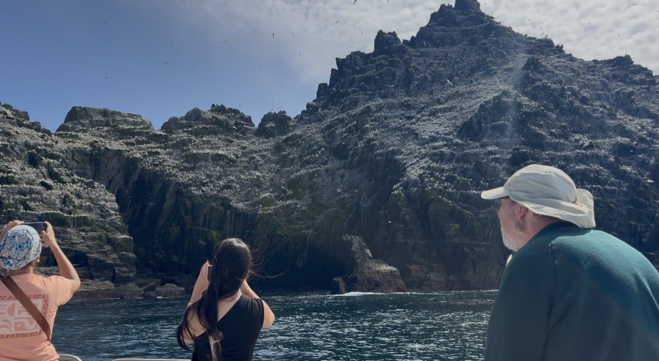 Guests photographing the Skellig cliffs from the boat