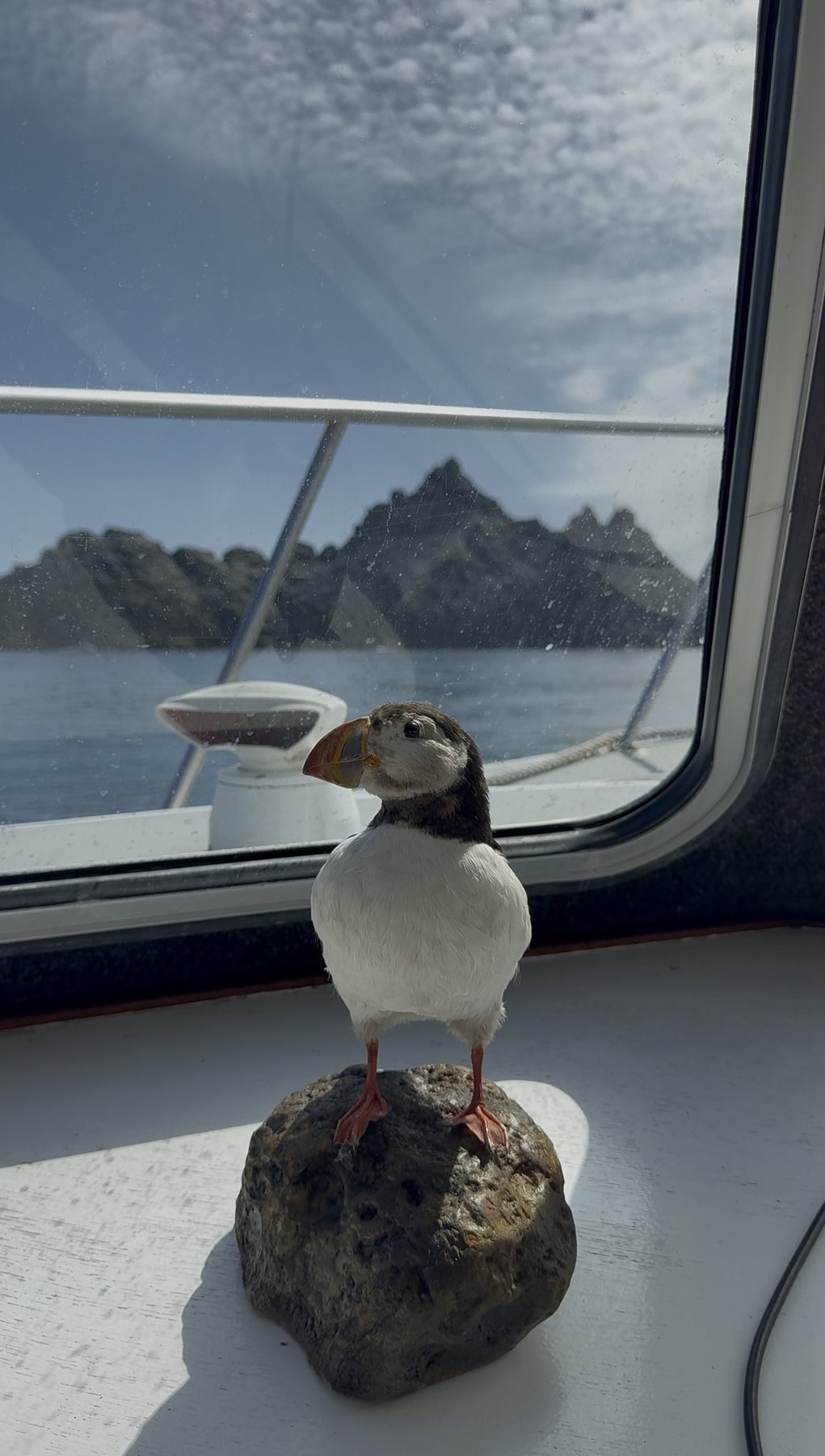 Puffin keepsake with Skellig rocks through the window